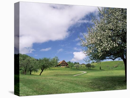 Traditional Farmhouse and Apple Tree in Blossom, Unteraegeri, Switzerland-Rolf Nussbaumer-Stretched Canvas