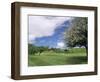 Traditional Farmhouse and Apple Tree in Blossom, Unteraegeri, Switzerland-Rolf Nussbaumer-Framed Premium Photographic Print