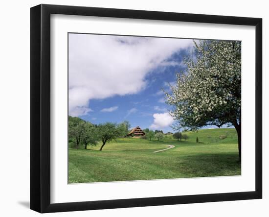 Traditional Farmhouse and Apple Tree in Blossom, Unteraegeri, Switzerland-Rolf Nussbaumer-Framed Photographic Print