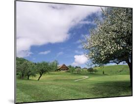 Traditional Farmhouse and Apple Tree in Blossom, Unteraegeri, Switzerland-Rolf Nussbaumer-Mounted Photographic Print