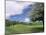 Traditional Farmhouse and Apple Tree in Blossom, Unteraegeri, Switzerland-Rolf Nussbaumer-Mounted Photographic Print