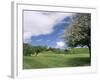 Traditional Farmhouse and Apple Tree in Blossom, Unteraegeri, Switzerland-Rolf Nussbaumer-Framed Photographic Print