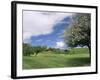 Traditional Farmhouse and Apple Tree in Blossom, Unteraegeri, Switzerland-Rolf Nussbaumer-Framed Photographic Print