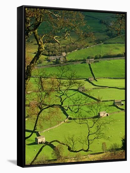 Traditional Farming Valley in Swaledale, Yorkshire Dales National Park, England-Paul Harris-Framed Stretched Canvas