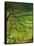 Traditional Farming Valley in Swaledale, Yorkshire Dales National Park, England-Paul Harris-Framed Stretched Canvas