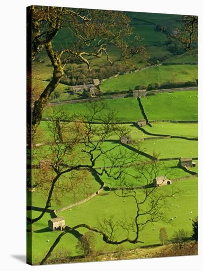 Traditional Farming Valley in Swaledale, Yorkshire Dales National Park, England-Paul Harris-Stretched Canvas