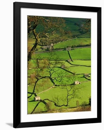 Traditional Farming Valley in Swaledale, Yorkshire Dales National Park, England-Paul Harris-Framed Premium Photographic Print