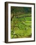 Traditional Farming Valley in Swaledale, Yorkshire Dales National Park, England-Paul Harris-Framed Photographic Print