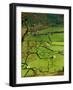 Traditional Farming Valley in Swaledale, Yorkshire Dales National Park, England-Paul Harris-Framed Photographic Print