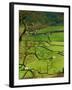 Traditional Farming Valley in Swaledale, Yorkshire Dales National Park, England-Paul Harris-Framed Photographic Print