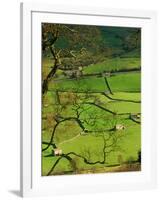 Traditional Farming Valley in Swaledale, Yorkshire Dales National Park, England-Paul Harris-Framed Photographic Print