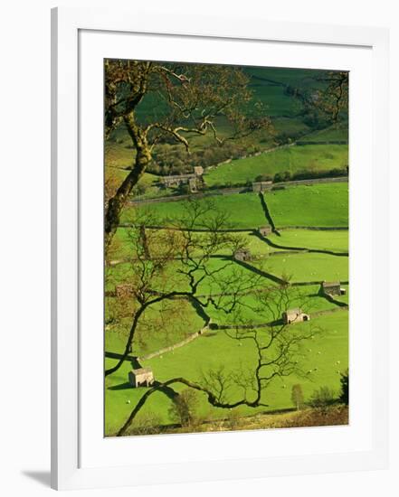 Traditional Farming Valley in Swaledale, Yorkshire Dales National Park, England-Paul Harris-Framed Photographic Print