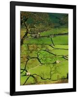 Traditional Farming Valley in Swaledale, Yorkshire Dales National Park, England-Paul Harris-Framed Photographic Print