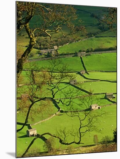 Traditional Farming Valley in Swaledale, Yorkshire Dales National Park, England-Paul Harris-Mounted Photographic Print