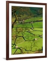 Traditional Farming Valley in Swaledale, Yorkshire Dales National Park, England-Paul Harris-Framed Photographic Print