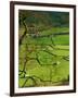 Traditional Farming Valley in Swaledale, Yorkshire Dales National Park, England-Paul Harris-Framed Photographic Print