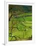 Traditional Farming Valley in Swaledale, Yorkshire Dales National Park, England-Paul Harris-Framed Photographic Print