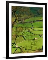 Traditional Farming Valley in Swaledale, Yorkshire Dales National Park, England-Paul Harris-Framed Photographic Print