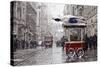 Traditional Fast Food of Istanbul on Beyoglu-mahmut enc-Stretched Canvas