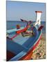 Traditional Fishing Boats, Algarve, Portugal-Katja Kreder-Mounted Photographic Print