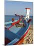 Traditional Fishing Boats, Algarve, Portugal-Katja Kreder-Mounted Photographic Print