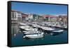 Traditional Fishing Boats Moored in the Harbour in Lekeitio, Basque Country (Euskadi), Spain-Martin Child-Framed Stretched Canvas