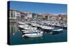 Traditional Fishing Boats Moored in the Harbour in Lekeitio, Basque Country (Euskadi), Spain-Martin Child-Stretched Canvas