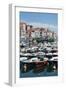 Traditional Fishing Boats Moored in the Harbour in Lekeitio, Basque Country (Euskadi), Spain-Martin Child-Framed Photographic Print