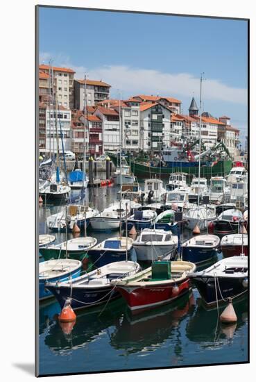 Traditional Fishing Boats Moored in the Harbour in Lekeitio, Basque Country (Euskadi), Spain-Martin Child-Mounted Photographic Print