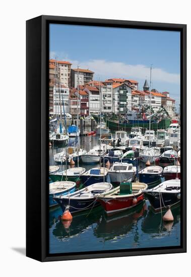 Traditional Fishing Boats Moored in the Harbour in Lekeitio, Basque Country (Euskadi), Spain-Martin Child-Framed Stretched Canvas