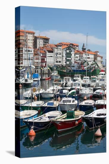 Traditional Fishing Boats Moored in the Harbour in Lekeitio, Basque Country (Euskadi), Spain-Martin Child-Stretched Canvas