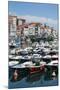 Traditional Fishing Boats Moored in the Harbour in Lekeitio, Basque Country (Euskadi), Spain-Martin Child-Mounted Photographic Print