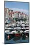 Traditional Fishing Boats Moored in the Harbour in Lekeitio, Basque Country (Euskadi), Spain-Martin Child-Mounted Photographic Print