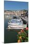 Traditional Fishing Boats Moored in the Harbour of the Historic Town of Cassis, Mediterranean-Martin Child-Mounted Photographic Print