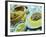 Traditional Food of Chicken Tagine, and Lamb with Cous Cous, Marrakech, Morocco-Lee Frost-Framed Photographic Print