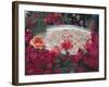 Traditional Fruit Drink, Oaxaca, Mexico-Judith Haden-Framed Photographic Print