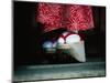 Traditional Geta (Wooden Sandals), Kyoto, Kinki, Japan,-Frank Carter-Mounted Photographic Print