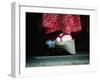 Traditional Geta (Wooden Sandals), Kyoto, Kinki, Japan,-Frank Carter-Framed Photographic Print