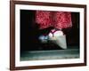 Traditional Geta (Wooden Sandals), Kyoto, Kinki, Japan,-Frank Carter-Framed Photographic Print