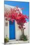 Traditional Greek Door on Sifnos Island, Greece-papadimitriou-Mounted Photographic Print