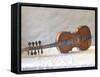 Traditional Hardanger Fiddle with Mother-of-Pearl Inlay, Rosing, Norway-Russell Young-Framed Stretched Canvas