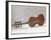 Traditional Hardanger Fiddle with Mother-of-Pearl Inlay, Rosing, Norway-Russell Young-Framed Photographic Print