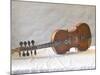 Traditional Hardanger Fiddle with Mother-of-Pearl Inlay, Rosing, Norway-Russell Young-Mounted Photographic Print