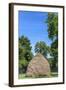 Traditional Haycock, Leipe, Spree Forest, Brandenburg, Germany, Europe-Chris Seba-Framed Photographic Print