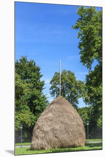 Traditional Haycock, Leipe, Spree Forest, Brandenburg, Germany, Europe-Chris Seba-Mounted Premium Photographic Print