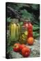 Traditional Home-Preserved Pickles and Tomatoes-null-Stretched Canvas