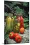 Traditional Home-Preserved Pickles and Tomatoes-null-Mounted Photographic Print