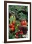 Traditional Homemade Pickles, Tomatoes, and Fruit Jam-null-Framed Photographic Print