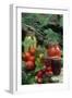 Traditional Homemade Pickles, Tomatoes, and Fruit Jam-null-Framed Photographic Print