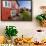 Traditional homes on Vega Island, Norway-Michael Nolan-Framed Photographic Print displayed on a wall